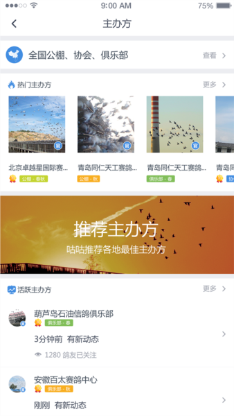 咕咕信鸽图片6
