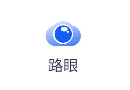 路眼app