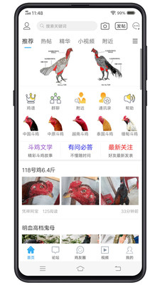 中国斗鸡论坛 v2.6.9安卓版下载