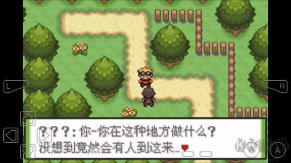 口袋妖怪釉色最新版 v1.6.2安卓版 