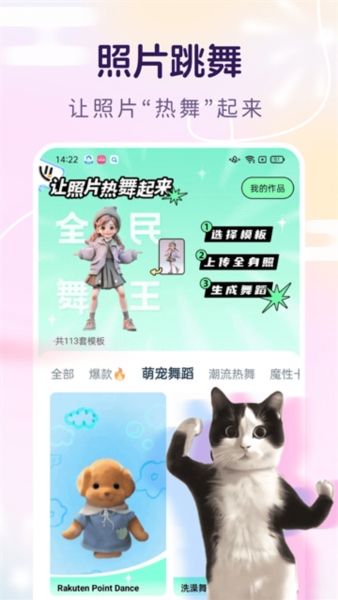 脸猫图片3