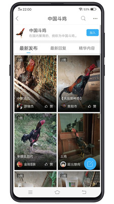 中国斗鸡论坛 v2.6.9安卓版下载