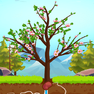 生命树 V1.0.0