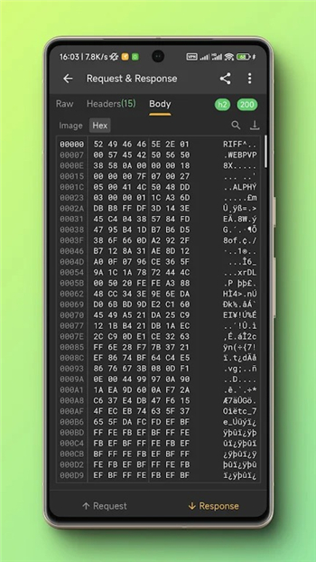 开户神器小黄鸟(Reqable) v2.33.5