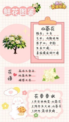 我的花园世界 第2张图