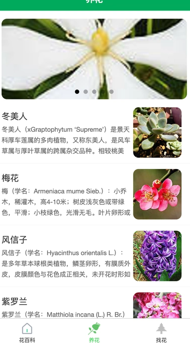 虎步花园app v1.0