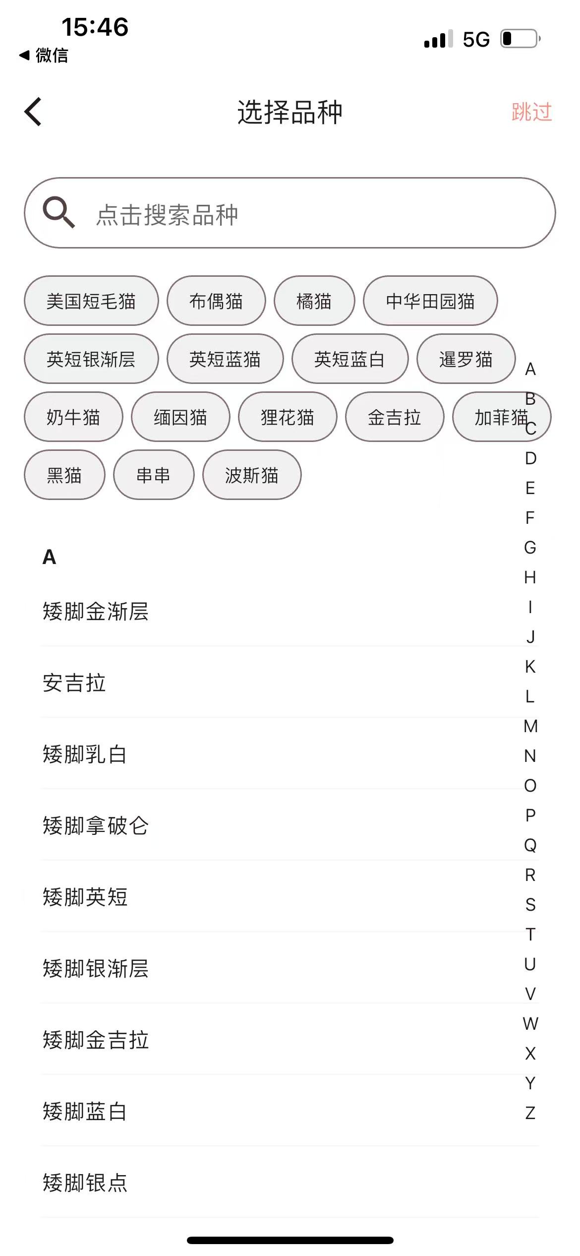 怎么添加宠物截图5