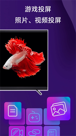 雨燕投屏app截图