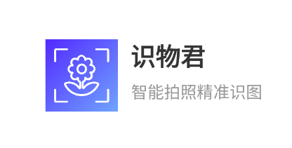 ʶapp2