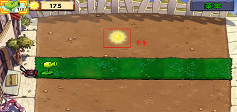 PLANTS VS ZOMBIES