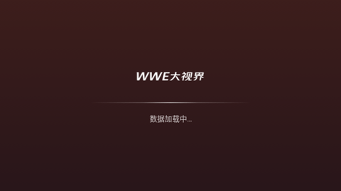 WWE大视界TV版