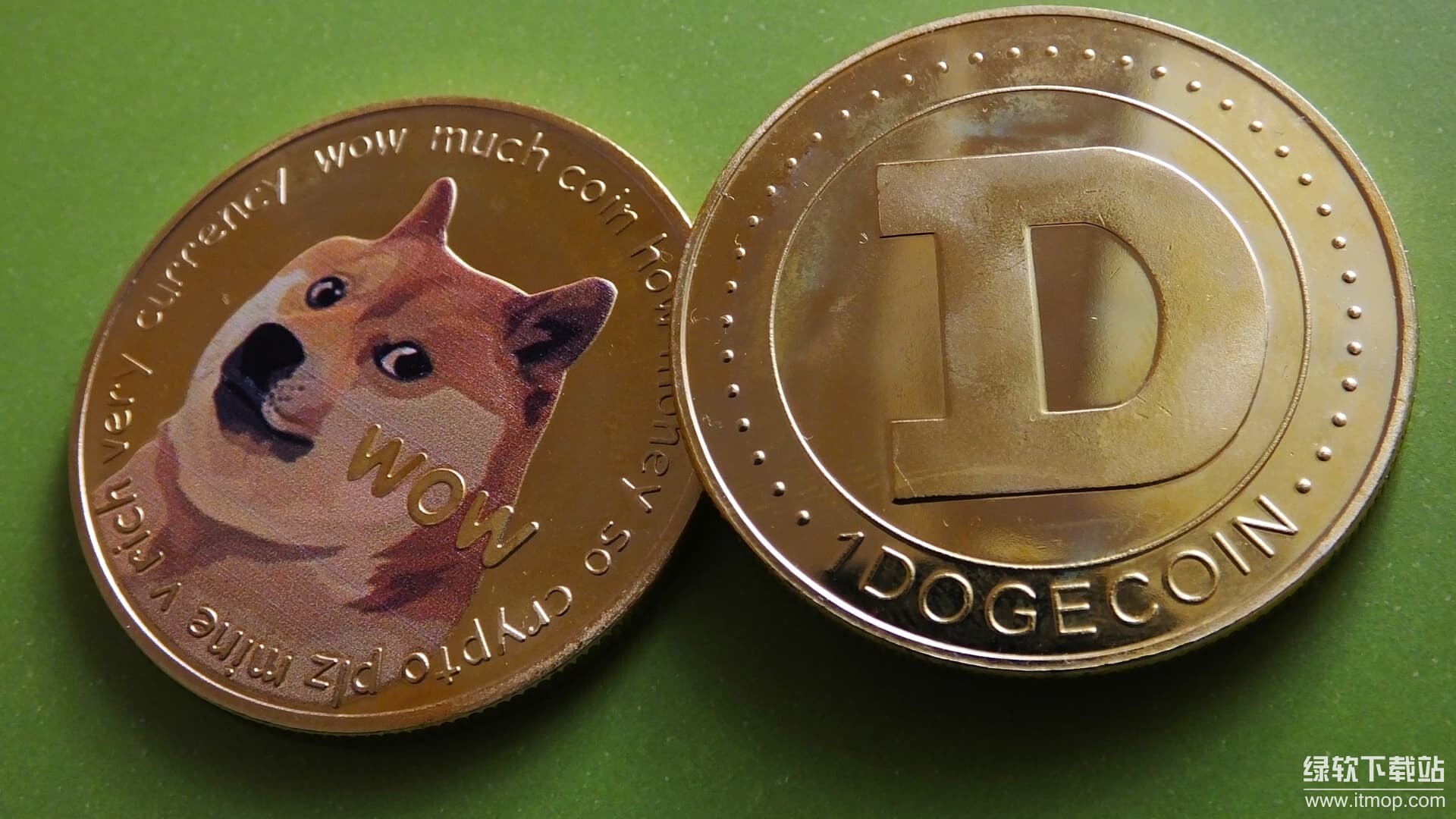 狗狗币的去中心化程度如何？网络安全性能否得到保障？