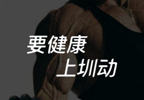 圳动App手机版