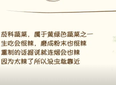 蜡笔小新煤炭镇的小白山菜全收集攻略