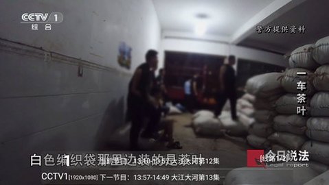 多多电视TV版