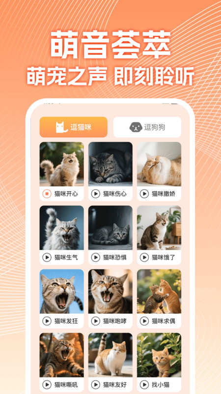 智能宠物翻译器app v1.0.0