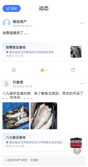 路了个鱼4