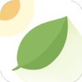 薄荷天气app v1.0安卓版下载