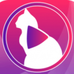 猫咪直播app免费版