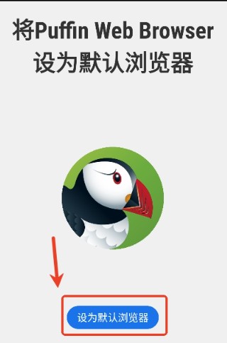 puffinרҵ