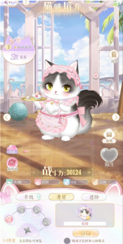 猫咪养成玩法配图1