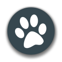 兽音译者APP最新版下载 v1.5