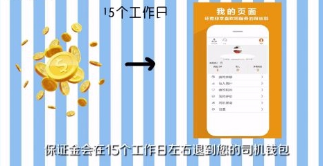 ˾app17