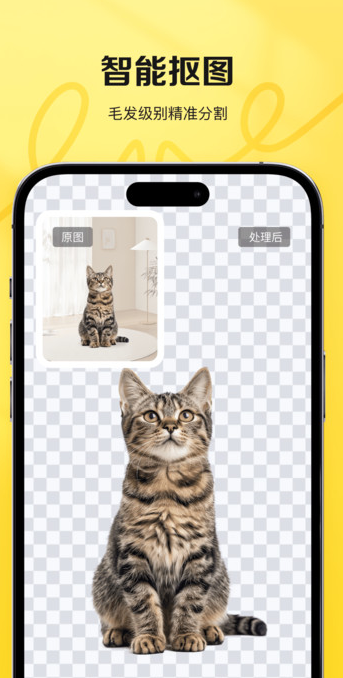 喵图匠 v1.0.0安卓版下载