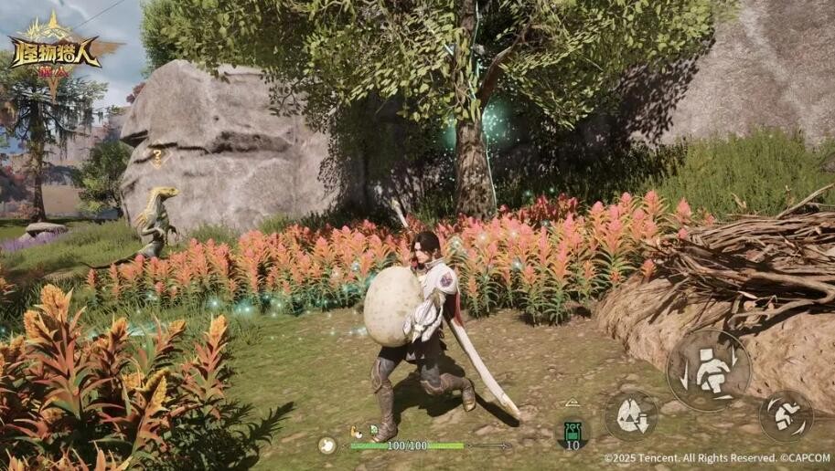 怪物猎人旅人搬蛋挑战攻略