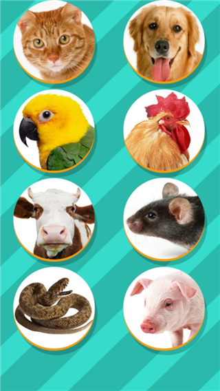 pet translator动物翻译器 v1.1