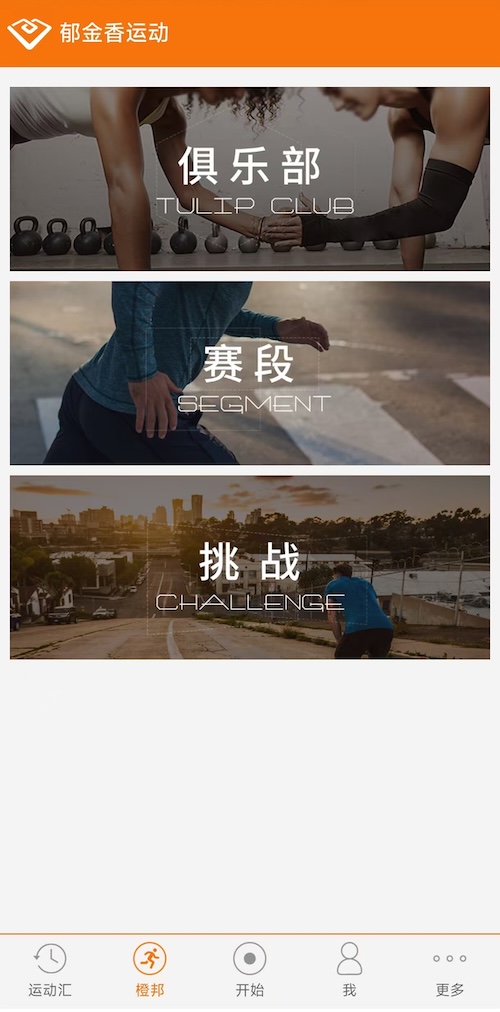 郁金香运动 v4.06.04.2040