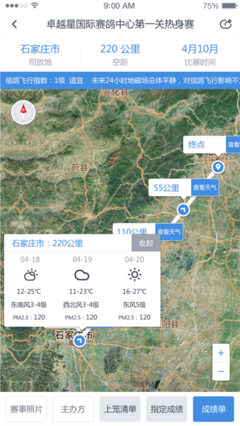 咕咕信鸽图片5