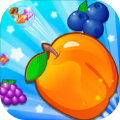 球球看看  V1.5.3下载