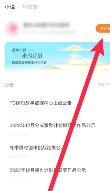 写小说赚钱教程截图2