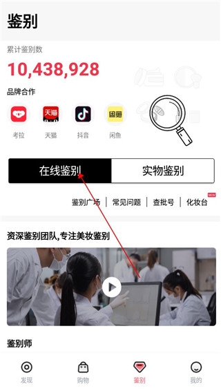 维鉴10