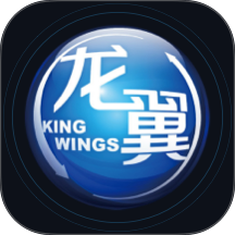 掌上龙翼app手机版