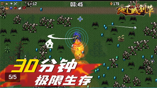 地下城割草