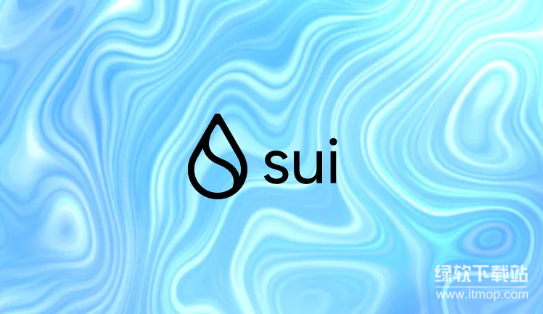 Sui虚拟机的并行执行是什么？多线程如何提升性能？