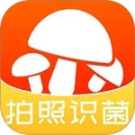菌窝子app下载