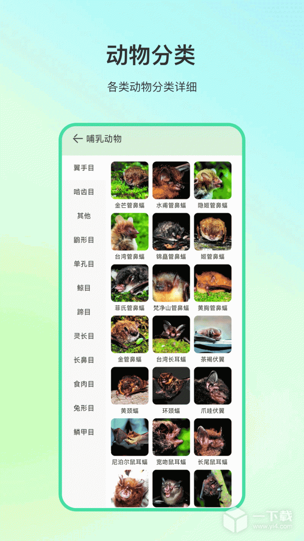 动物百科 v4.1.0最新版下载
