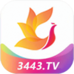 影视工场app手机版