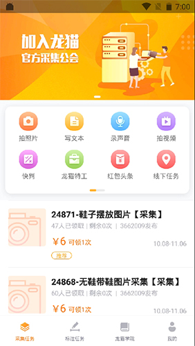 龙猫众包怎么做任务1