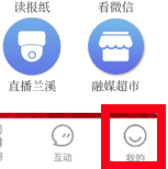 兰精灵11