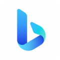 BING搜索国内版 V29.0.420