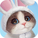 我和我的猫手游下载 v1.0.84161