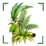识万物扫一扫App V1.11