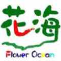 花海直播