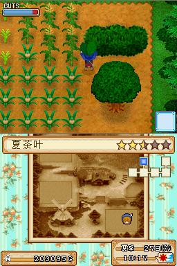 牧场物语风之集市nds版