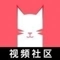 猫咪app视频最新版v1.1.7