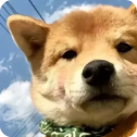 我的世界方可梦